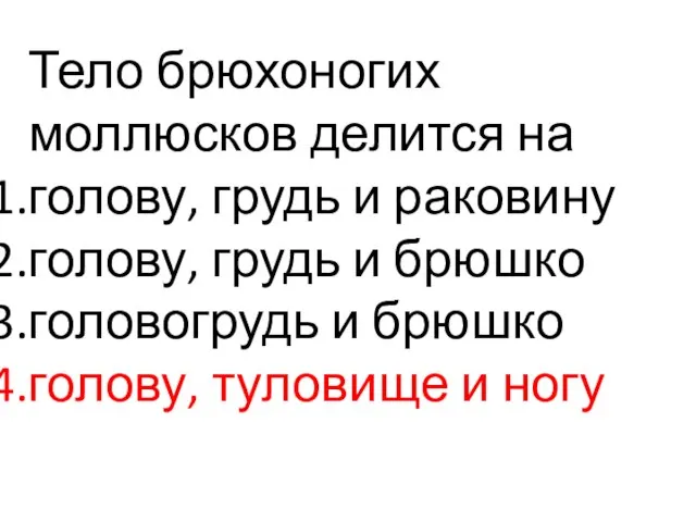 Тело брюхоногих моллюсков делится на голову, грудь и раковину голову, грудь