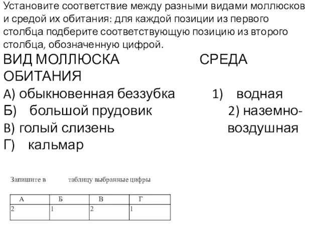 Установите соответствие между разными видами моллюсков и средой их обитания: для