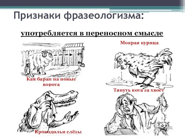 употребляется в переносном смысле Признаки фразеологизма: Как баран на новые ворота