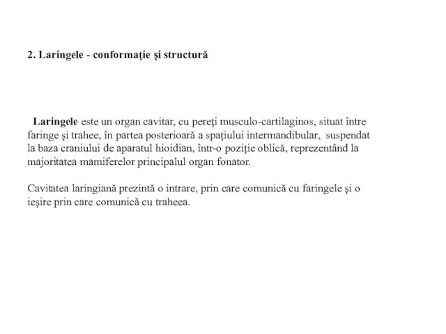 2. Laringele - conformație și structură Laringele este un organ cavitar,