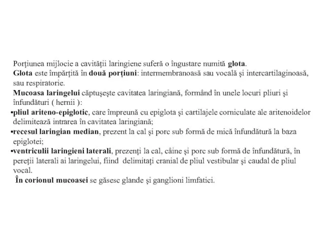 Porțiunea mijlocie a cavității laringiene suferă o îngustare numită glota. Glota