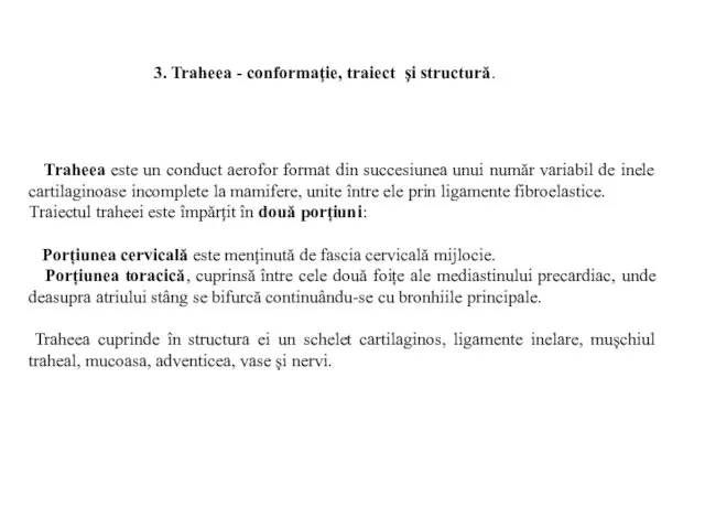 Traheea este un conduct aerofor format din succesiunea unui număr variabil