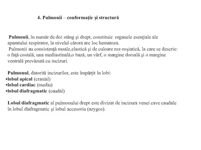 Pulmonii, în număr de doi stâng și drept, constituie organele esențiale