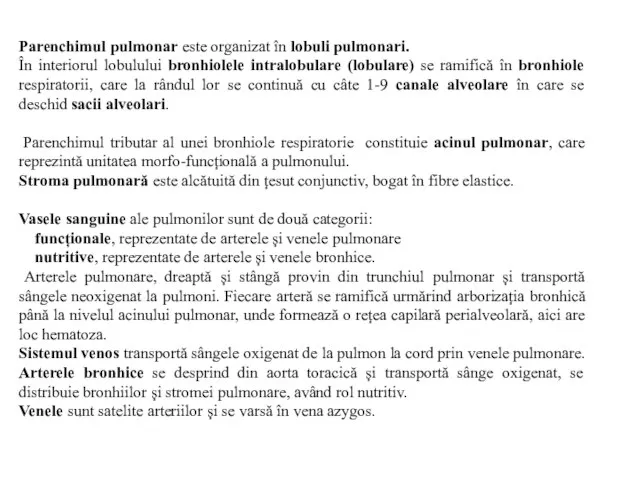 Parenchimul pulmonar este organizat în lobuli pulmonari. În interiorul lobulului bronhiolele