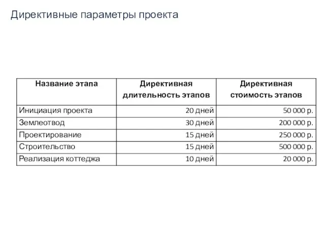 Директивные параметры проекта