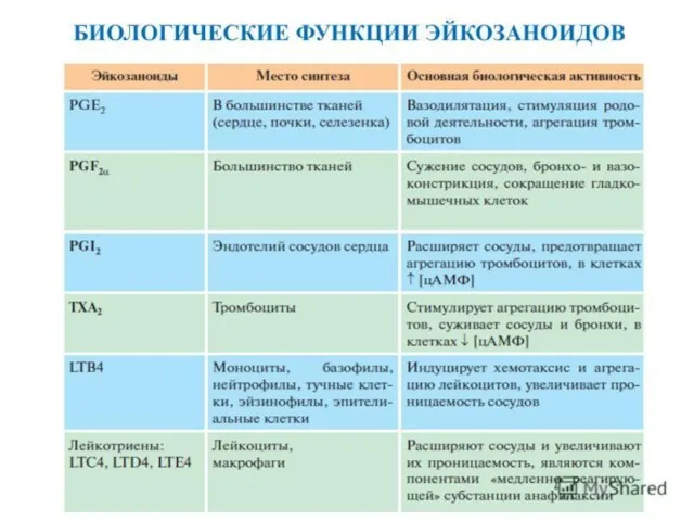 Метаболизм эйкозаноидов