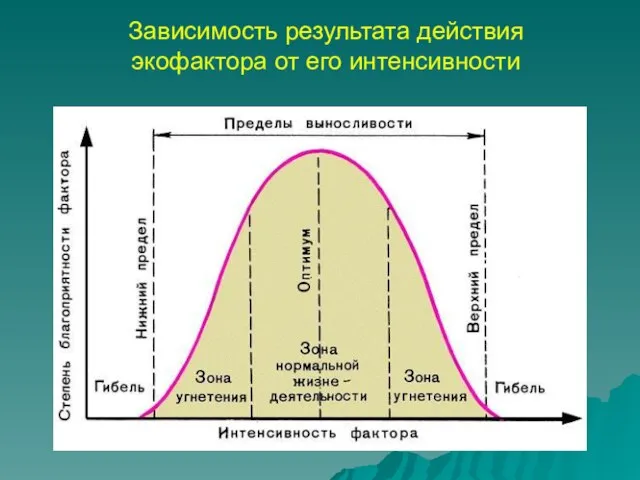 Зависимость результата действия экофактора от его интенсивности