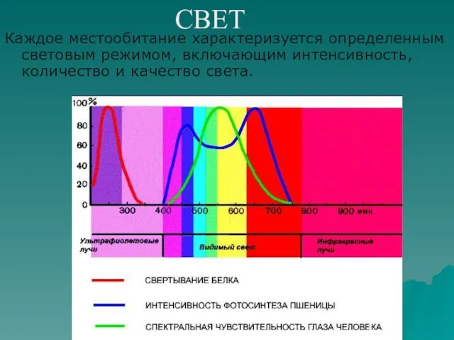 Каждое местообитание характеризуется определенным световым режимом, включающим интенсивность, количество и качество света. СВЕТ