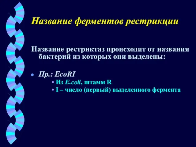 Название ферментов рестрикции Название рестриктаз происходит от названия бактерий из которых