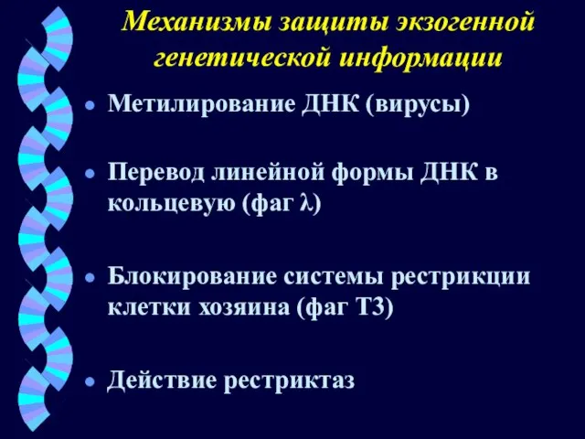 Механизмы защиты экзогенной генетической информации Метилирование ДНК (вирусы) Перевод линейной формы