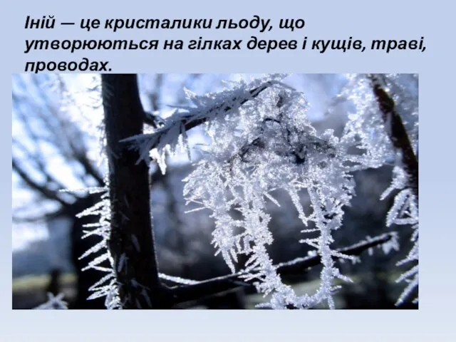 Іній — це кристалики льоду, що утворюються на гілках дерев і кущів, траві, проводах.