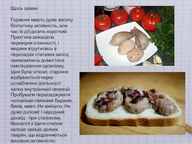 Щось цікаве Гормони мають дуже високу біологічну активність, але час їх