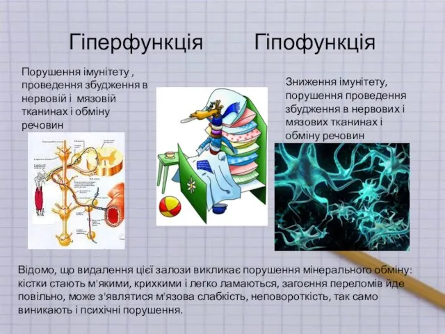 Гіперфункція Гіпофункція Порушення імунітету , проведення збудження в нервовій і мязовій