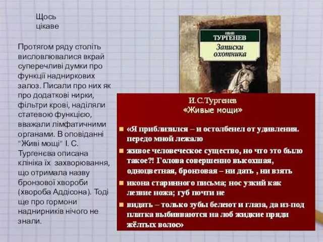 Протягом ряду століть висловлювалися вкрай суперечливі думки про функції надниркових залоз.