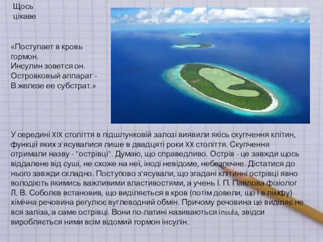 У середині XIX століття в підшлунковій залозі виявили якісь скупчення клітин,