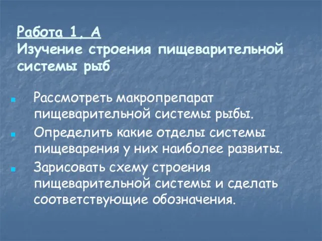 Работа 1, А Изучение строения пищеварительной системы рыб Рассмотреть макропрепарат пищеварительной