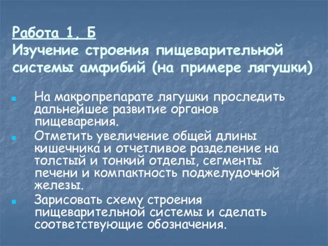 Работа 1, Б Изучение строения пищеварительной системы амфибий (на примере лягушки)