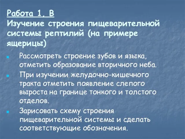 Работа 1, В Изучение строения пищеварительной системы рептилий (на примере ящерицы)