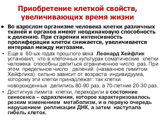 Во взрослом организме человека клетки различных тканей и органов имеют неодинаковую