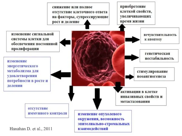 Hanahan D. et al., 2011