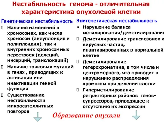 Нестабильность генома - отличительная характеристика опухолевой клетки Генетическая нестабильность Наличие изменений