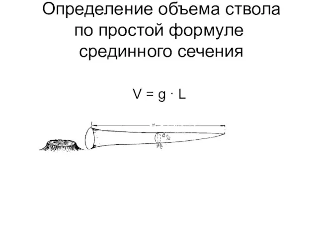 Определение объема ствола по простой формуле срединного сечения V = g · L