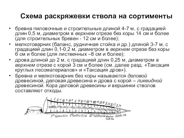 Схема раскряжевки ствола на сортименты бревна пиловочные и строительные длиной 4-7