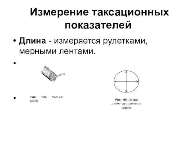 Измерение таксационных показателей Длина - измеряется рулетками, мерными лентами.