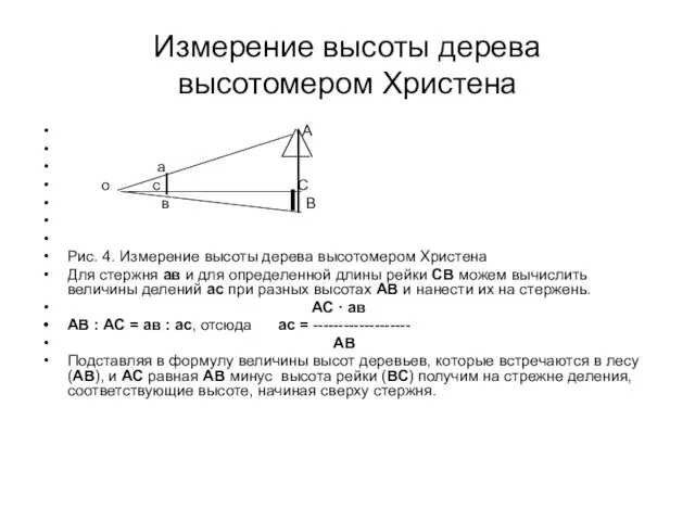 Измерение высоты дерева высотомером Христена А а о с С в