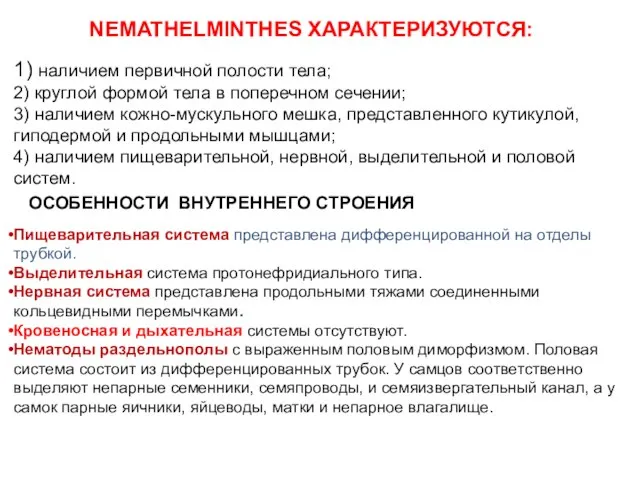 NEMATHELMINTHES ХАРАКТЕРИЗУЮТСЯ: 1) наличием первичной полости тела; 2) круглой формой тела