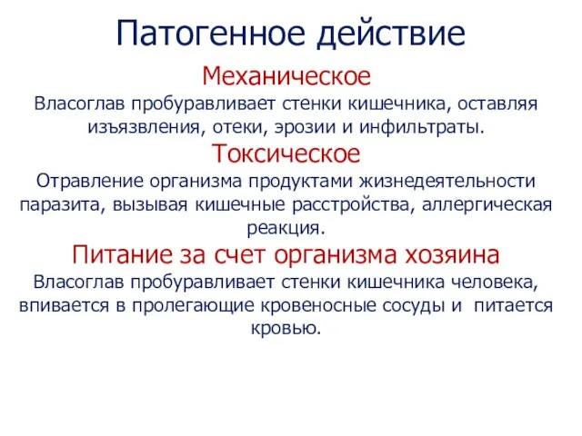 Патогенное действие Механическое Власоглав пробуравливает стенки кишечника, оставляя изъязвления, отеки, эрозии