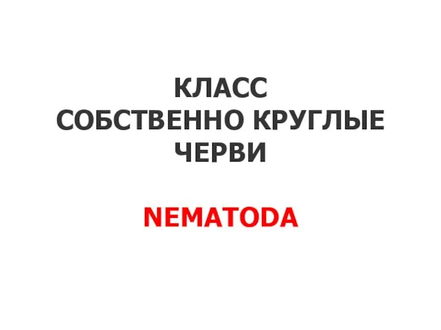 КЛАСС СОБСТВЕННО КРУГЛЫЕ ЧЕРВИ NEMATODA