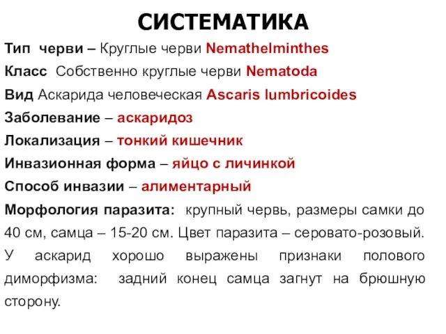 СИСТЕМАТИКА Тип черви – Круглые черви Nemathelminthes Класс Собственно круглые черви