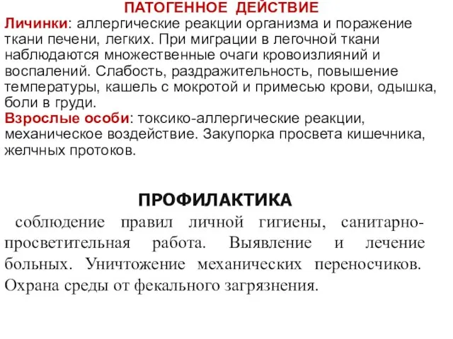 ПАТОГЕННОЕ ДЕЙСТВИЕ Личинки: аллергические реакции организма и поражение ткани печени, легких.