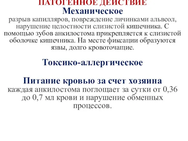 ПАТОГЕННОЕ ДЕЙСТВИЕ Механическое разрыв капилляров, повреждение личинками альвеол, нарушение целостности слизистой