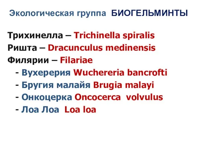 Экологическая группа БИОГЕЛЬМИНТЫ Трихинелла – Trichinella spiralis Ришта – Dracunculus medinensis