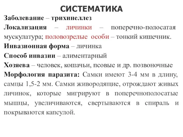 СИСТЕМАТИКА Заболевание – трихинеллез Локализация – личинки – поперечно-полосатая мускулатура; половозрелые