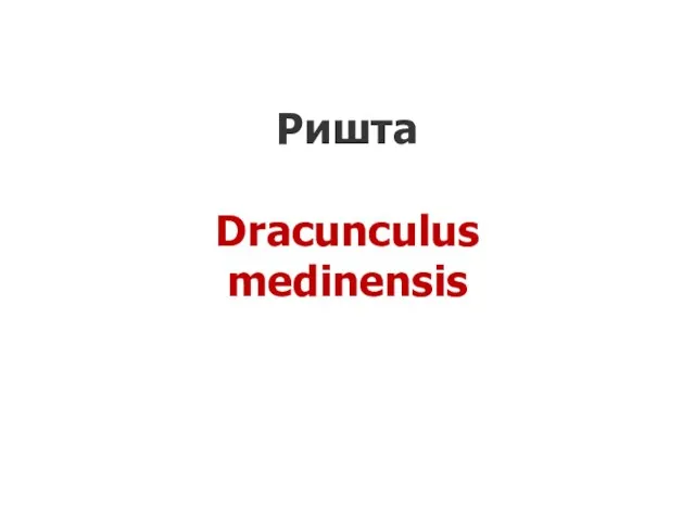 Ришта Dracunculus medinensis