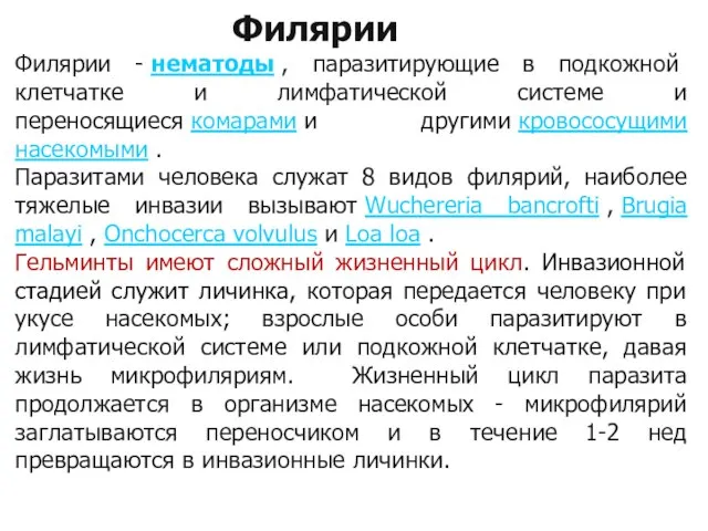 Филярии Филярии - нематоды , паразитирующие в подкожной клетчатке и лимфатической