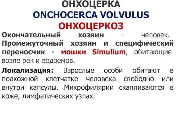 ОНХОЦЕРКА ONCHOCERCA VOLVULUS ОНХОЦЕРКОЗ Окончательный хозяин - человек. Промежуточный хозяин и