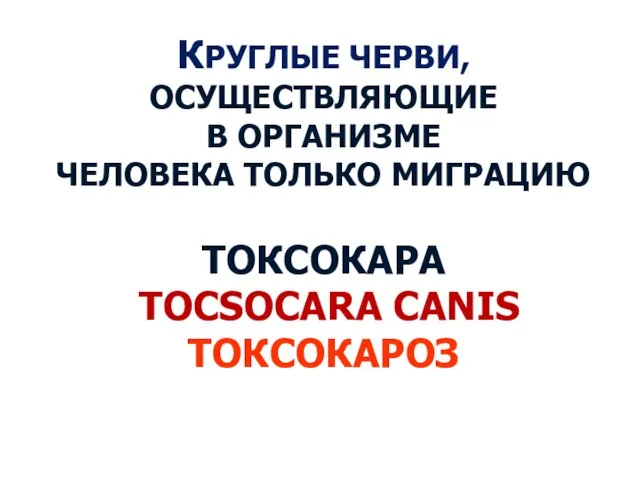 КРУГЛЫЕ ЧЕРВИ, ОСУЩЕСТВЛЯЮЩИЕ В ОРГАНИЗМЕ ЧЕЛОВЕКА ТОЛЬКО МИГРАЦИЮ ТОКСОКАРА TOCSOCARA CANIS ТОКСОКАРОЗ