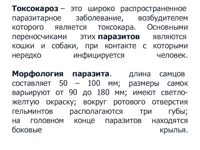 Токсокароз – это широко распространенное паразитарное заболевание, возбудителем которого является токсокара.