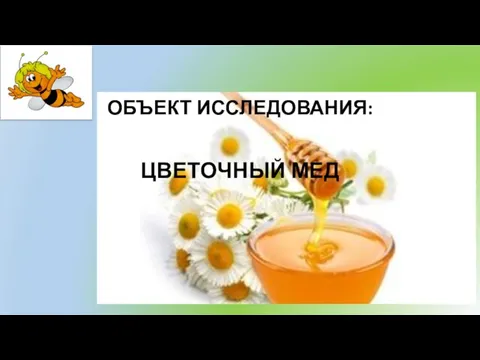 ОБЪЕКТ ИССЛЕДОВАНИЯ: ЦВЕТОЧНЫЙ МЕД