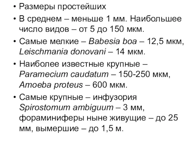 Размеры простейших В среднем – меньше 1 мм. Наибольшее число видов