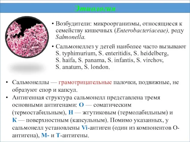 Возбудители: микроорганизмы, относящиеся к семейству кишечных (Enterobacteriaceae), роду Salmonella. Сальмонеллез у