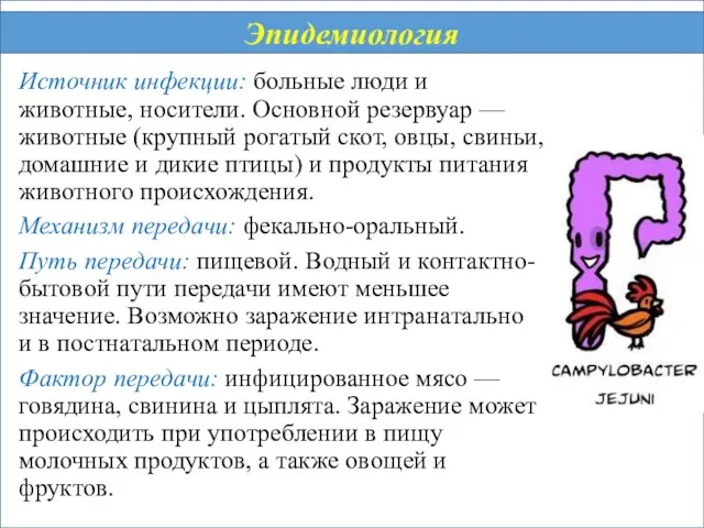 Источник инфекции: больные люди и животные, носители. Основной резервуар — животные