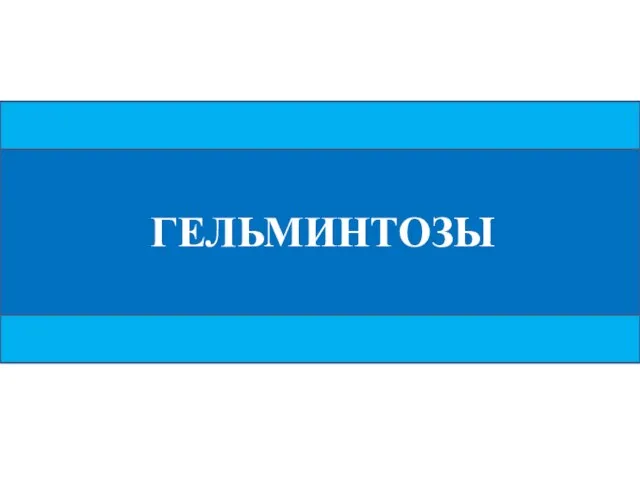 ГЕЛЬМИНТОЗЫ