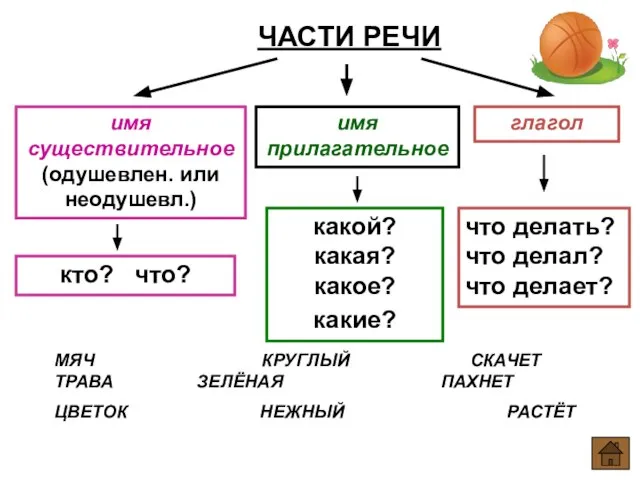 ЧАСТИ РЕЧИ имя существительное (одушевлен. или неодушевл.) кто? что? имя прилагательное