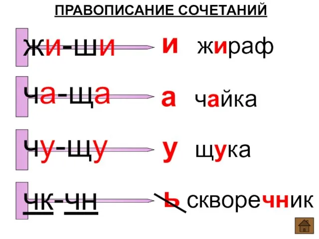 ПРАВОПИСАНИЕ СОЧЕТАНИЙ и а у ь жираф чайка щука скворечник