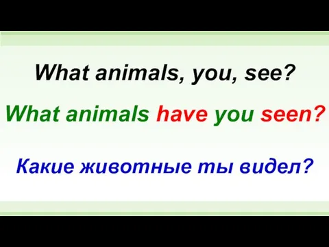 What animals have you seen? What animals, you, see? Какие животные ты видел?